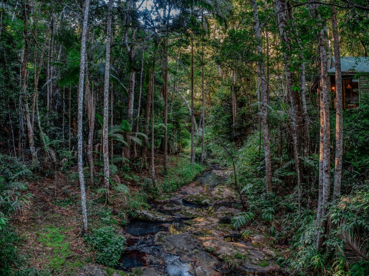 Narrows Escape Rainforest Retreat Montville Exterior photo