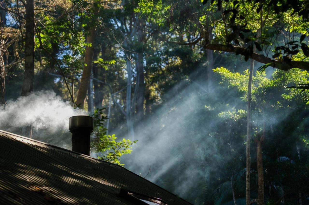 Narrows Escape Rainforest Retreat Montville Exterior photo