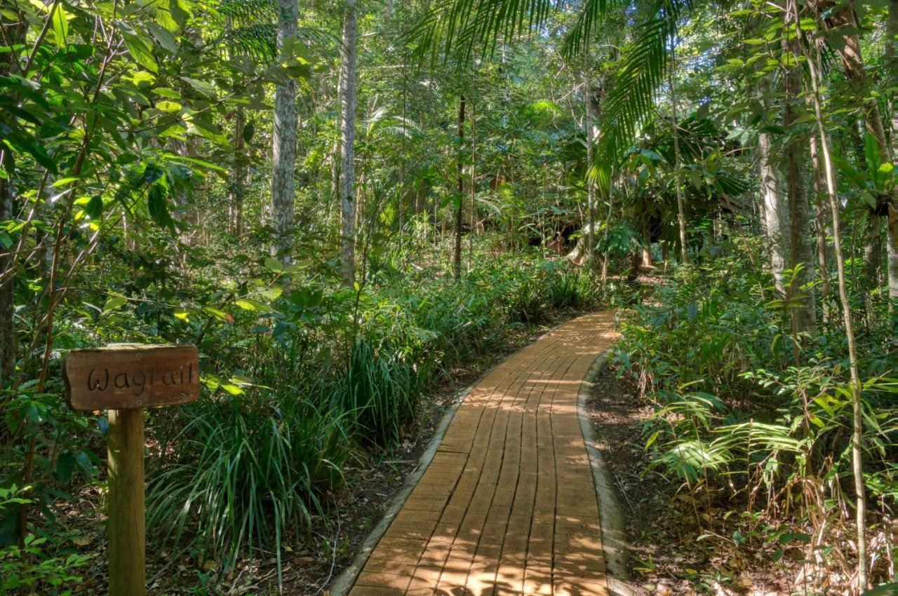 Narrows Escape Rainforest Retreat Montville Exterior photo