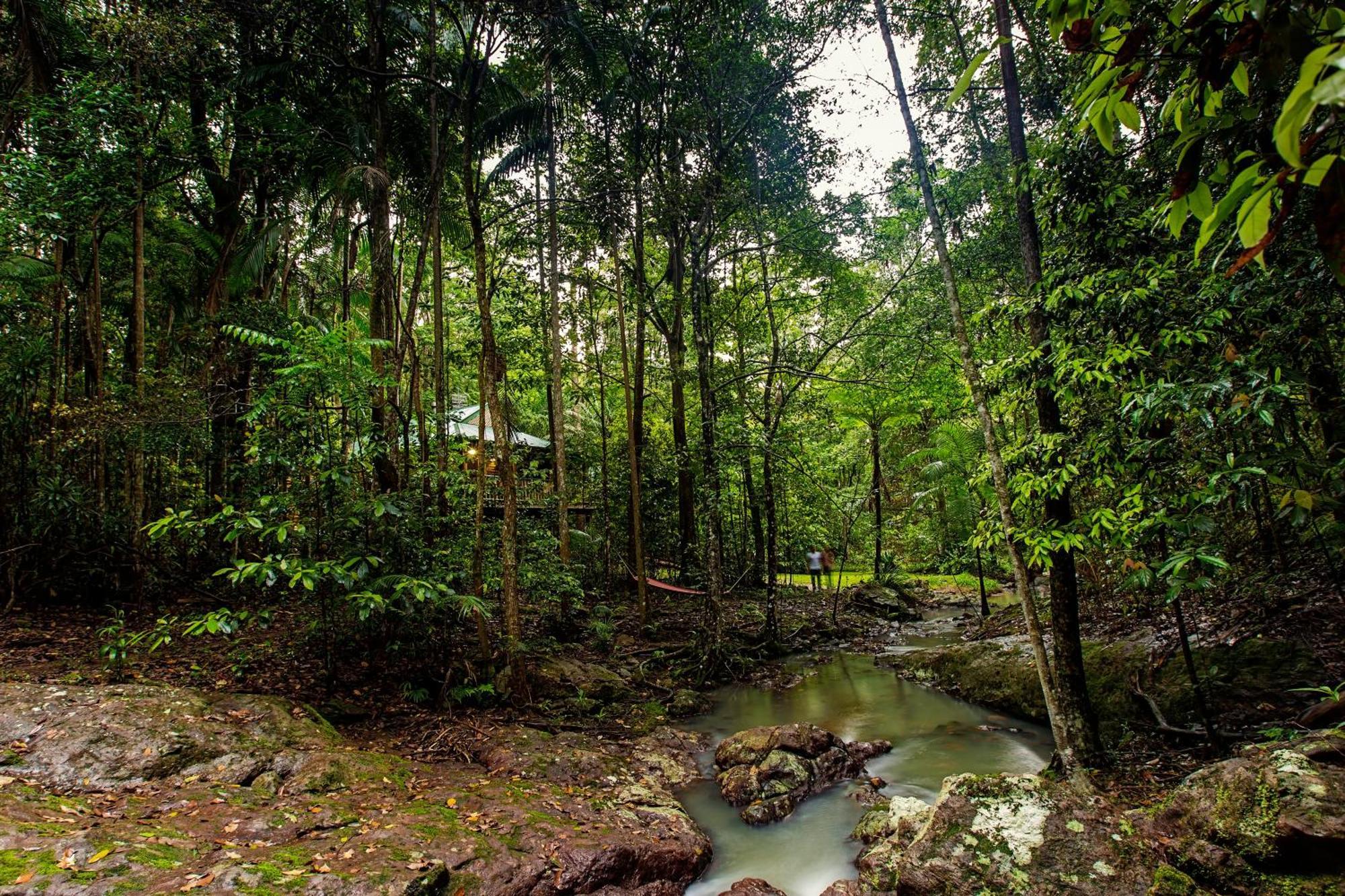 Narrows Escape Rainforest Retreat Montville Exterior photo