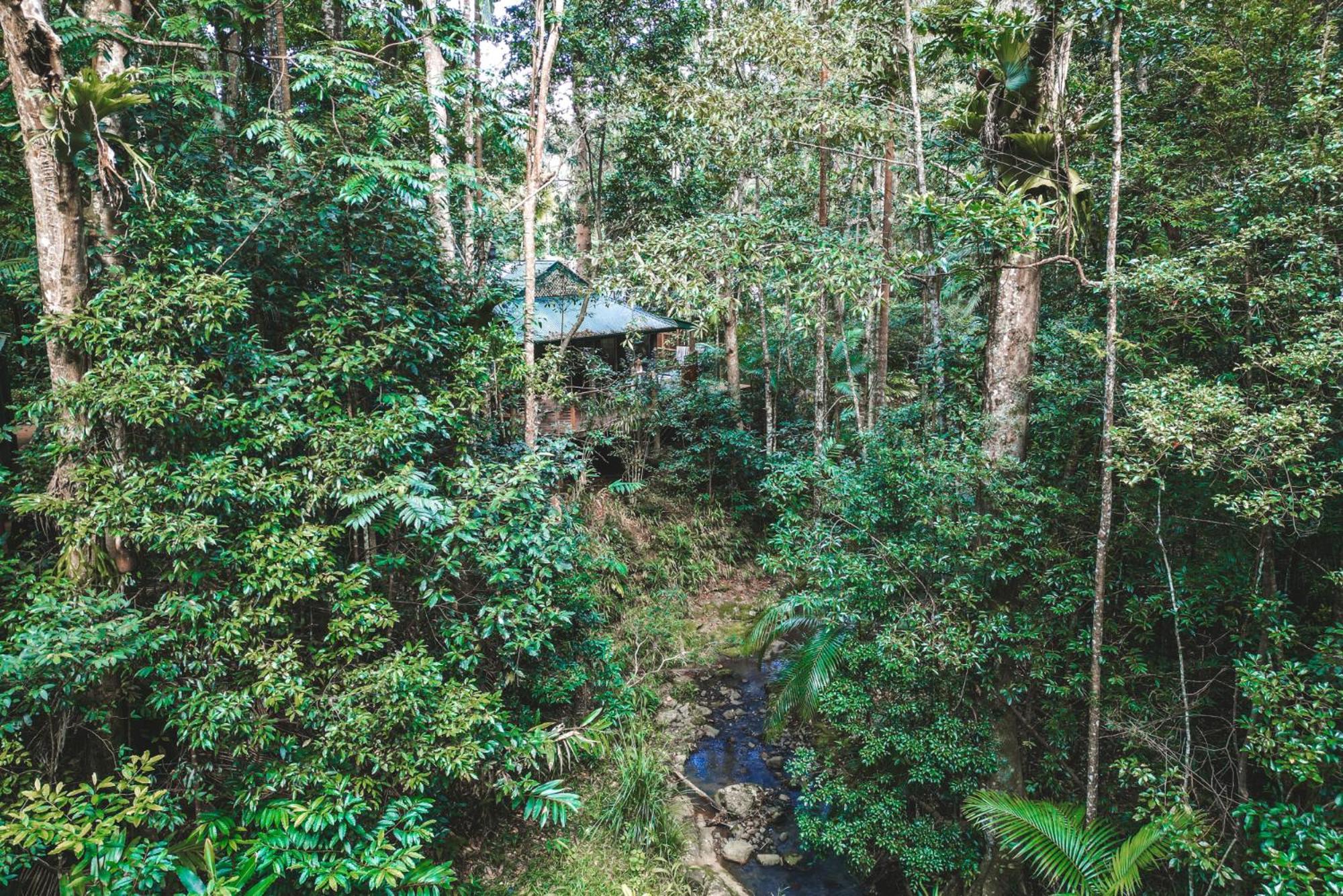 Narrows Escape Rainforest Retreat Montville Exterior photo