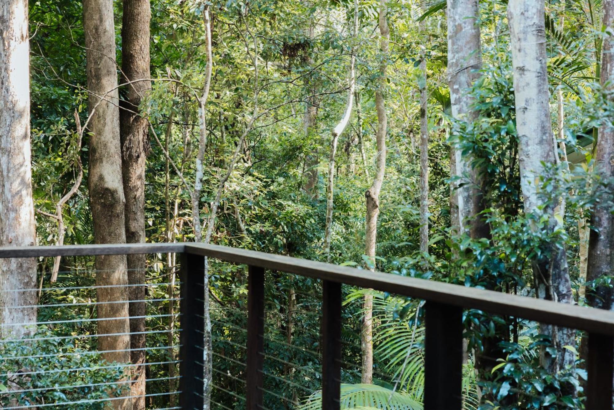 Narrows Escape Rainforest Retreat Montville Exterior photo